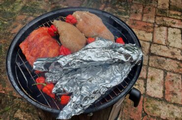 Smoking some pork ribs, chicken fillets, salmon fillets, and carolina reapers.
