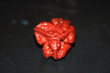 Selection of Chillies Used In My Sauce