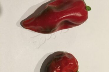 First reapers of the season!