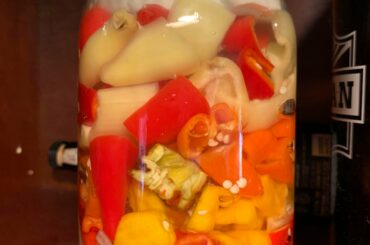 Fermented hot sauce starter- reaper, chocolate reaper, peach bhut, bhut jolokia, Fresno, wax pepper, and Dorset Naga with a little onion and garlic.