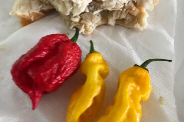 I eat pretty plain food but then I also wanna eat the peppers I grow and it looks kinda ridiculous sometimes.