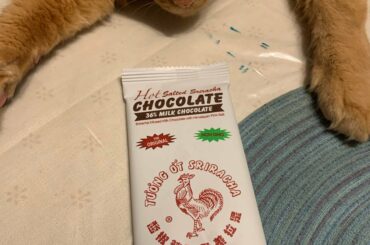 Anyone try these chocolate bars? Not to spicy, but the chocolate is really good. Got them at world market.