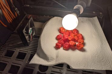 Do you think this will effectively dehydrate these reapers so i can make flakes?