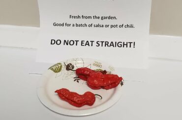 Questions about Carolina Reaper