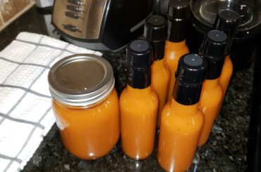 GreenPlanet Veterab Farms' own Pineapple/Peach/Mango Habanero Hot Sauce. Now, I just need Labels...