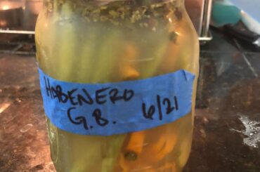 It’s not much, but I made it and it’s mine. Definitely has some kick but will surely be adding some more heat to it next time. [Pickled Green Beans]