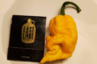 First Harvest of the Season