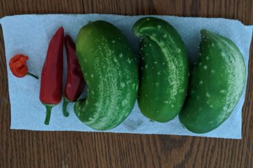 Some hot and some cool.