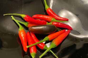 Recent garden grab can’t wait for the Reapers.
