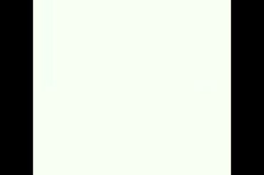 EID SPECIAL BIREYANI CHICKEN CHILI CHICKEN FRY