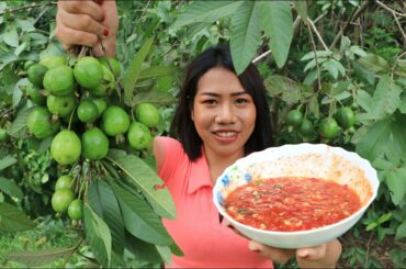 Eating fresh Guava fruit with chili salt - Eating show