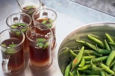 Rare Chili Tea Making Skills Indian Street Food - Extremely Green Chili Tea