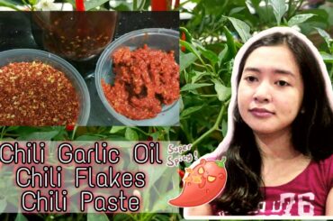 How to make Chili Garlic Oil, Chili Flakes, & Chili Paste + Taste Test! | Easy Chili Recipe