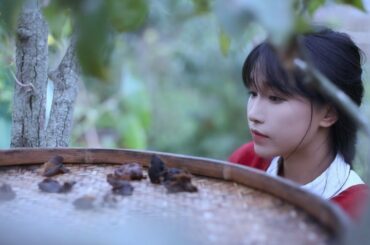 So this video called the life of chilli? chopped chili fish head,red oil sheet jelly| Liziqi Channel