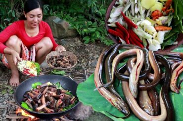 Yummy cooking ell with red chili for lunch food ideas tasty delicious