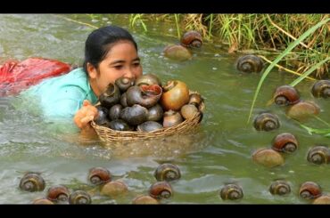 Catch Snails in River for Food - Cook Snails with chili recipe - Village Cooking