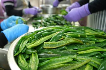 Peeled Chili(Harvesting, Processing), Peeled Chili Recipes(Century Egg, Dumpling, Chicken Soup)