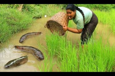 women Catch Fish in water for Food - Cook Fish with chili recipe - Village Cooking