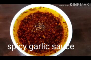 Homemade spicy chili garlic sauce/appetizer