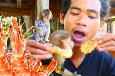 Yummy Grilled Shrimp Cooking With Chili Recipe| Eating Grilled Shrimp With Monkey Katy & Justin