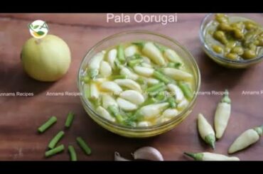 Pala oorugai recipe in tamil | chettinad special pala oorugai| chili pickel recipe | pickel recipe