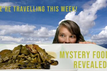 The Easiest & Tastiest Hatch Green Chile Recipe!