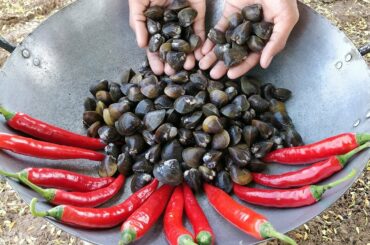 RIVER CLAM !! Clam Fried Chili Recipe / Kdeb Cooking