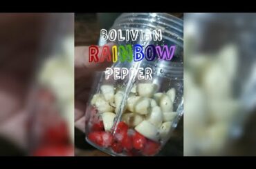 Home-Made Chili Garlic Sauce