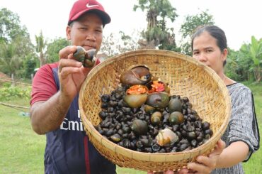 Fine Snails In Water Near At Home -  Cooking Snail With Spicy Chili Sauce Recipe -  Khmer Food TV