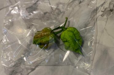 What do you do with two dragon’s breath peppers?