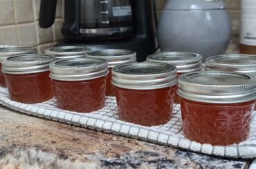 First attempt at making habanero jelly