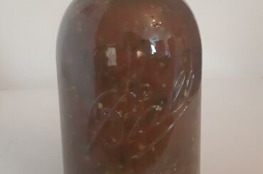 My first jar of homemade salsa of the year. 4 habaneros, 5 jalapenos, 1 Sante Fe grand and a couple of cayennes, all home grown (including the tomatoes)