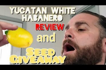 Hey Pepper Lovers, Help our Channel hit 200 Subscribers and you could win some seeds. Awesome varieties too including Tom's Bomb f2 seeds. Thanks everyone ☺