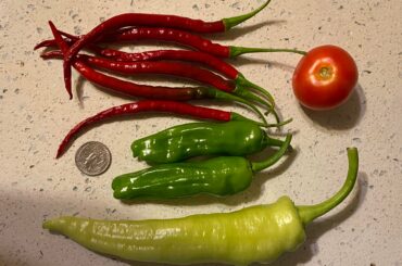 Little harvest !