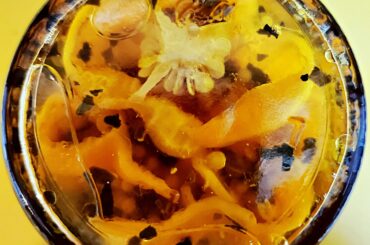 Yeah baby, pickle them habaneros...