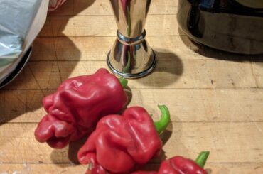 Wife brought these home. Are these Datil peppers? Standard jigger for size comparison