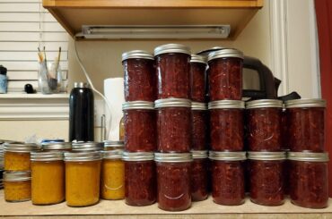 Made some pineapple reaper hot sauce and plum habanero reaper jelly. Peppers all from my garden!