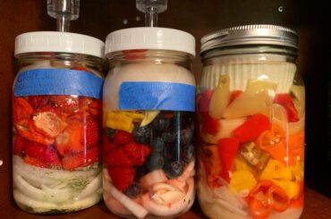 From L to R: Strawberry tarragon scorpion with onion, Ghost and rasp black and blueberry with garlic and onion, and plain old Garlic onion and super hot peppers.