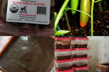 Black Garlic Hot Sauce, with serrano and jalapeno...