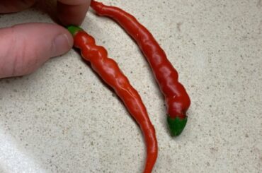 First 2 Cayennes!