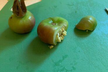 Did someone know what type of pepper is this?