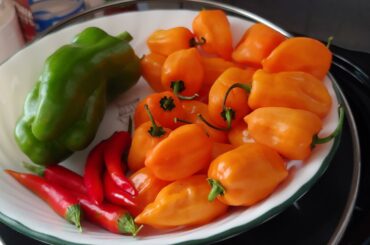 Today's harvest! Habs look beautiful.