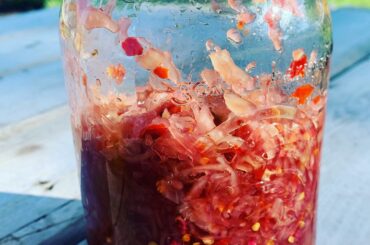 3 month fermented birds eye chilli Kraut!