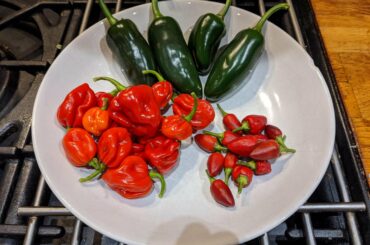 Tiny spicy harvest