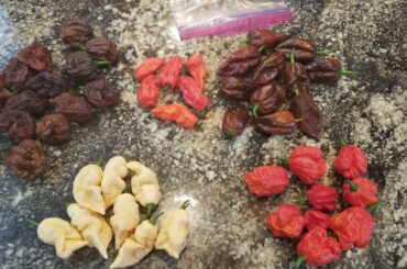 5 of the super-hot varieties I'm growing this year!