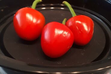 Hi wad gifted these peppers. Can someone help me identify them please, I am not familiar with spicy peppers. How spicy should I expect them to be? They smell quite strong already. Thabk you for the help!