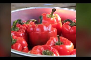 Cooking chili with park recipe