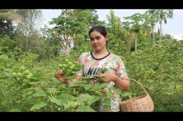 big bitter berry farm in my community bitter berry recipe chili, eggplant Natural Food TV