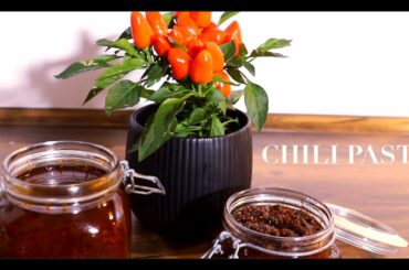 Anu's Yummy Kitchen - How to make Chili Paste - Chili Paste
