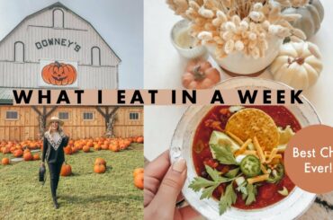 WHAT I EAT IN A WEEK | Cozy Fall Dishes & Best Chili Recipe Ever! | Steph Sterjovski Jolly